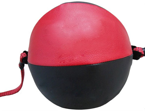 Punching Speed Ball