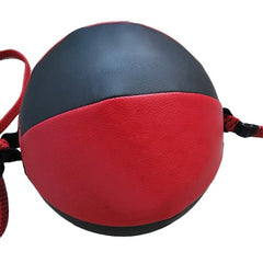 Punching Speed Ball