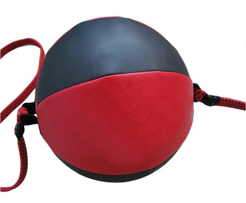 Punching Speed Ball